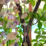 Aparthotel Baia Marticana Agnone Cilento
